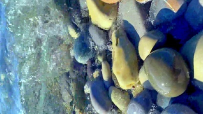 4K清澈小河流水