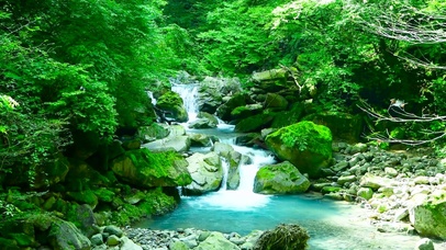 护眼绿林山涧溪水