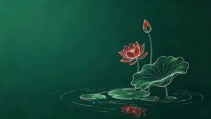 简约 荷塘