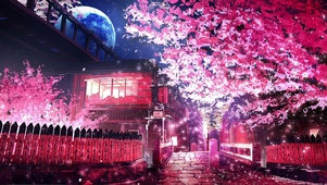 樱花街