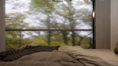 躺在雨天森林里的大床上