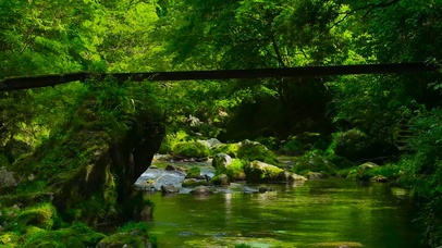 4K护眼山涧小溪