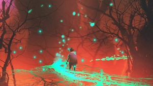 4K 高清 森林中的小绿桥