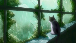 治愈-看窗外下雨的猫咪