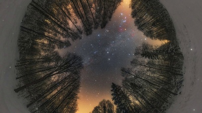 唯美治愈雪地森林星空