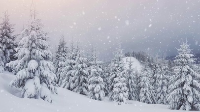 冬林飞雪飞雪壁纸图片 动态桌面壁纸图片 动态壁纸下载 元气壁纸 冬林飞雪飞雪壁纸图片 动态桌面壁纸图片 动态壁纸下载 元气壁纸