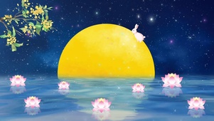 月亮湖中莲花