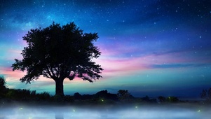 浪漫星空夜晚