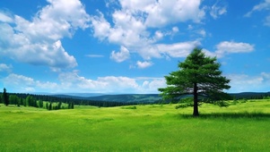 绿野自然美景