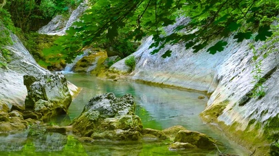 山间自然绿林溪水