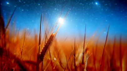 秋夜星空
