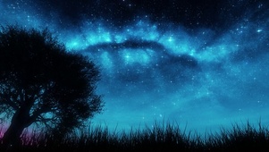 夏天星空和虫鸣