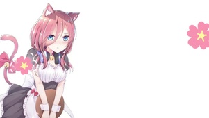 猫猫哈吉米