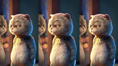 斑布猫-惊艳自我的强大