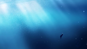 深海坠海少女