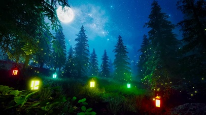 安静夜晚星空森林