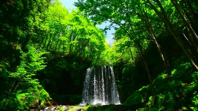 护眼绿林瀑布