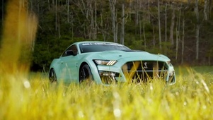 ShelbyGT500