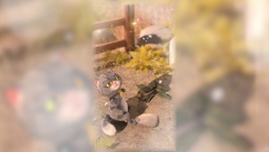 斑布猫-蒲公英