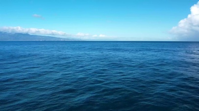 平静舒缓的海面