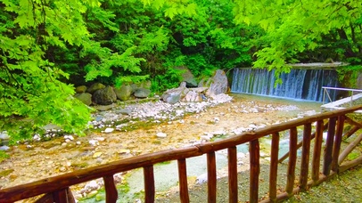 放松护眼绿林溪流瀑布