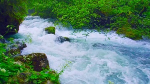 绿草河流