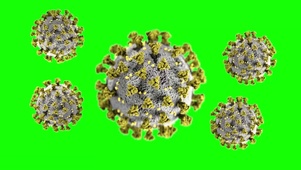 新冠病毒3D模型