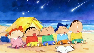 小新沙滩流星夜