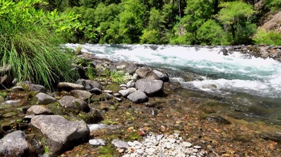 护眼自然清新风景