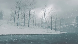 雪中树林