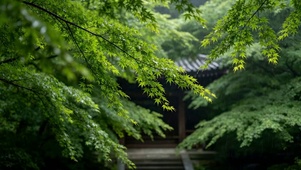4K交相辉映的繁茂绿色树枝