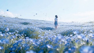 蓝色花海里的少女背影