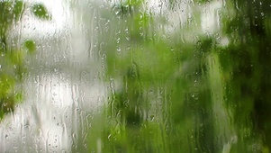 护眼雨屏