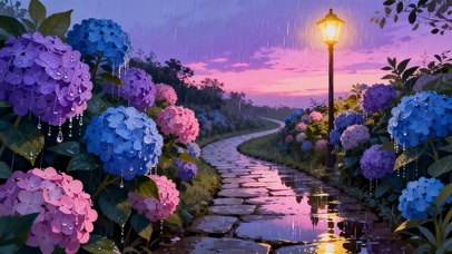 雨后绣球