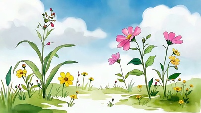 山花绽放
