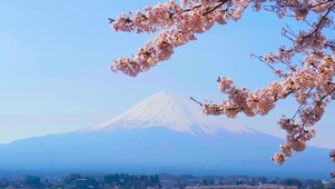 富士山下