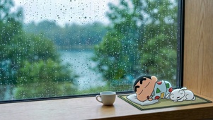 雨窗小新