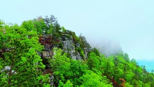 治愈护眼仙境4K