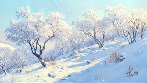 冬日白雪森林美景