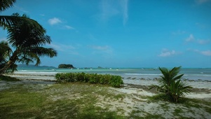 海边草地