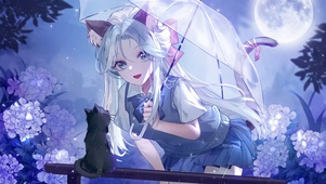 雨夜少女