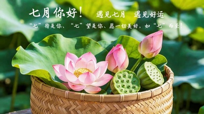 一筐清莲