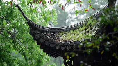 绿叶青瓦下雨天