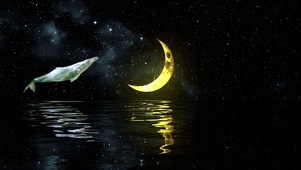 唯美夜空鲸月戏残月