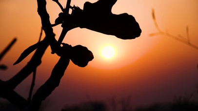 4K落日剪影延时摄影