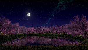星月与樱