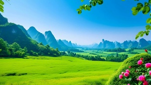 绿色护眼草原
