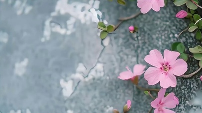 护眼花朵带鱼屏