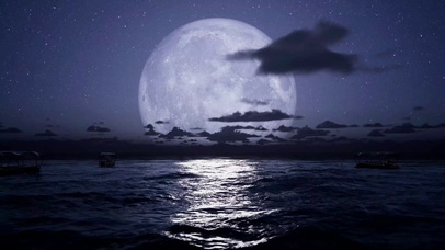 圆月海面 
