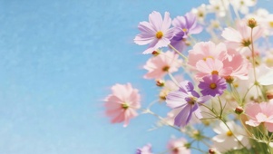 春天的鲜花